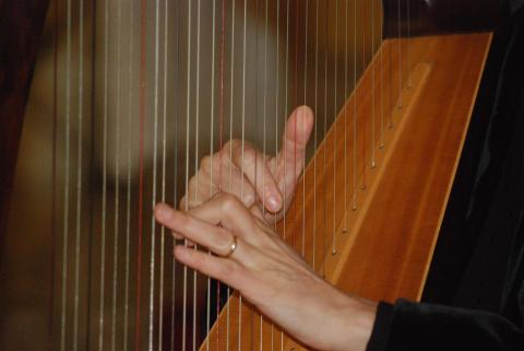Arpa Celtica