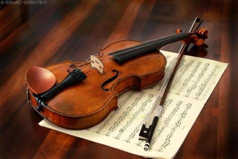 Violino