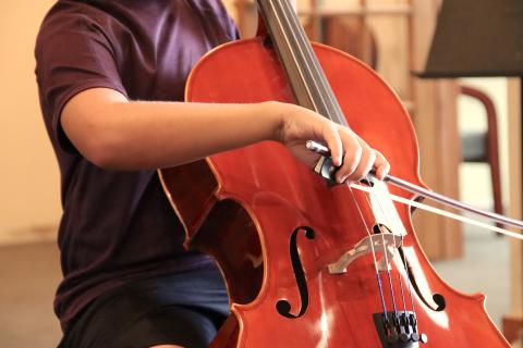 Violoncello